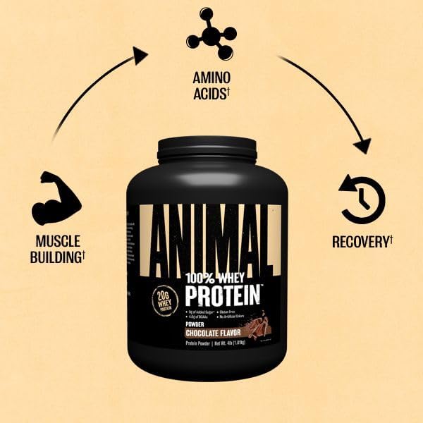 Animal 100% Whey Protein Powder – Chocolate, 4 lb